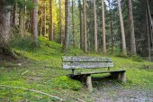 bank-im-wald