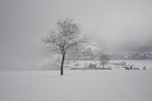 galerie-winter-04