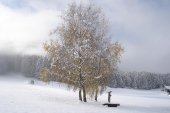 galerie-winter-06