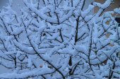 galerie-winter-11